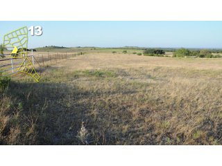 Property photo 75 - Mickle's Valley View Ranch and Canyon West Golf Club 506+/- Acres Offered in 27 Tracts in Weatherford, TX